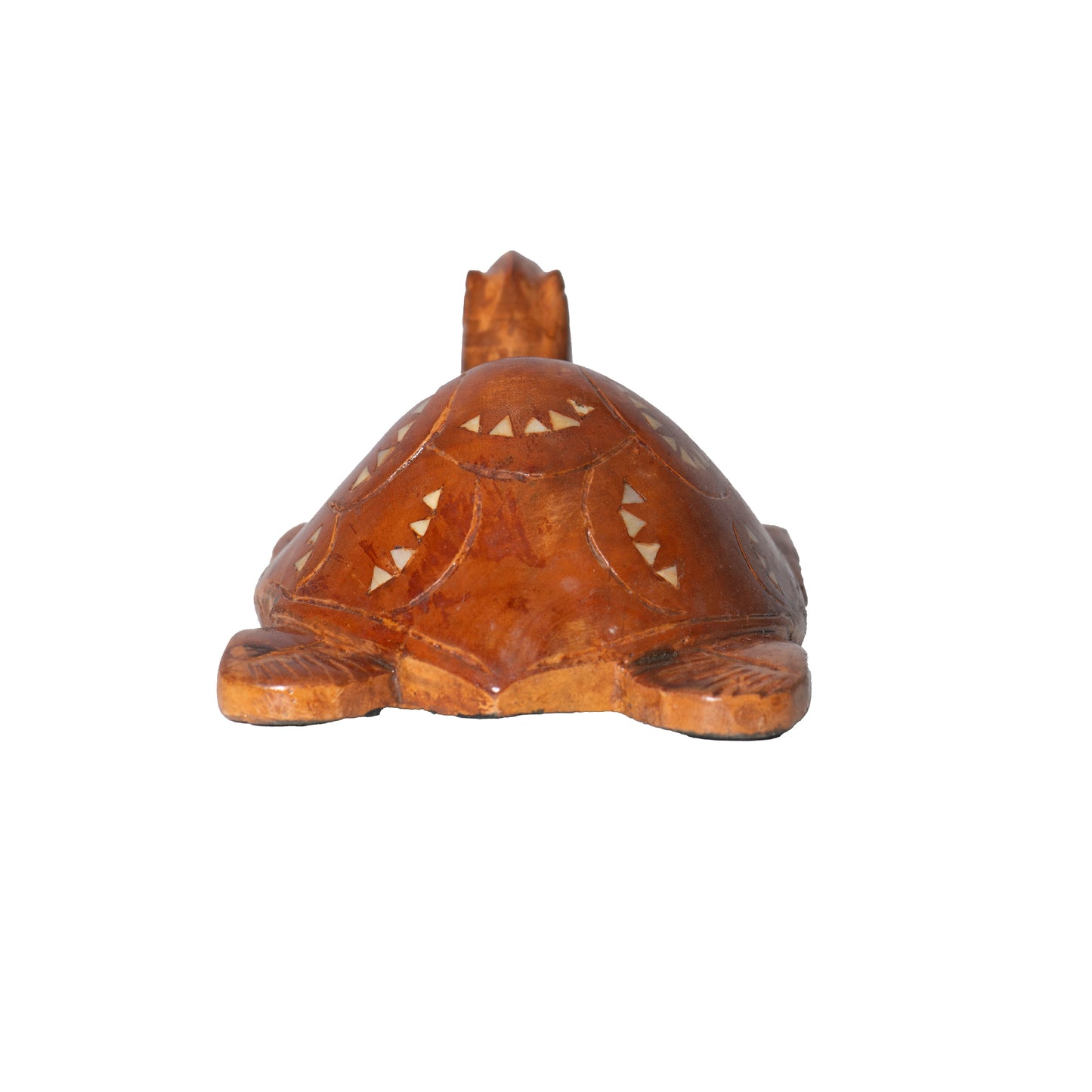 Tartaruga Madreperla